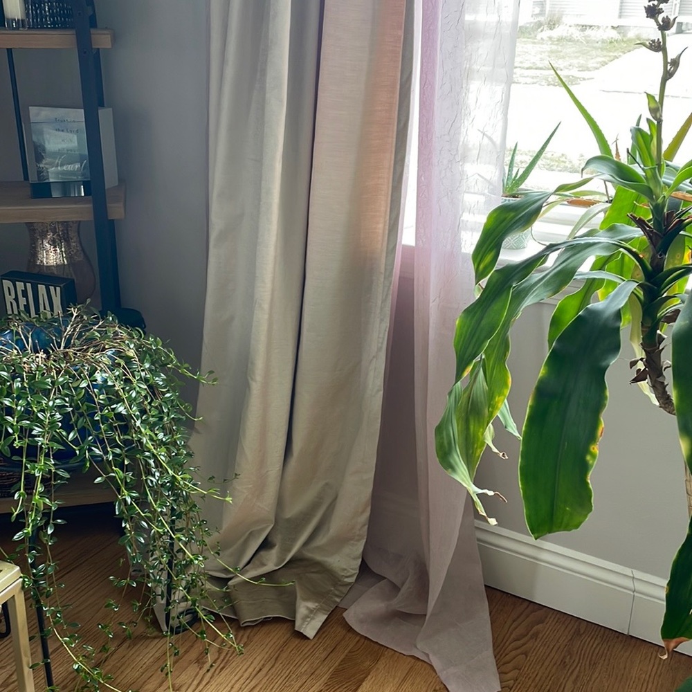 Sonoma Pink Sheer Curtains - Picture 2 of 6